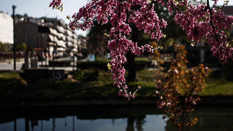 Μεγάλη η «ψαλίδα» των μεγίστων θερμοκρασιών – 7 βαθμοί στις Πρέσπες και 33 βαθμοί στην Κρήτη